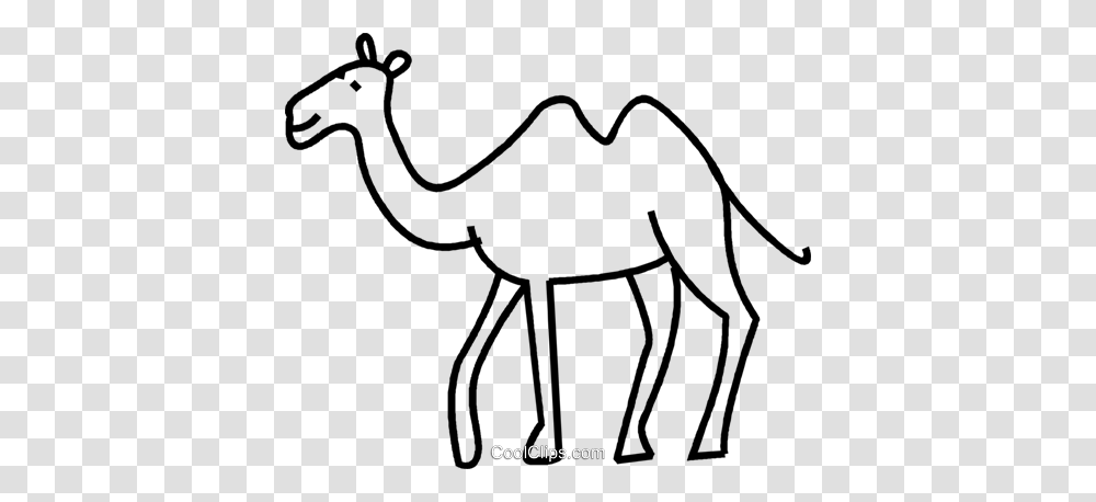 Camel Royalty Free Vector Clip Art Illustration, Mammal, Animal, Spider, Invertebrate Transparent Png