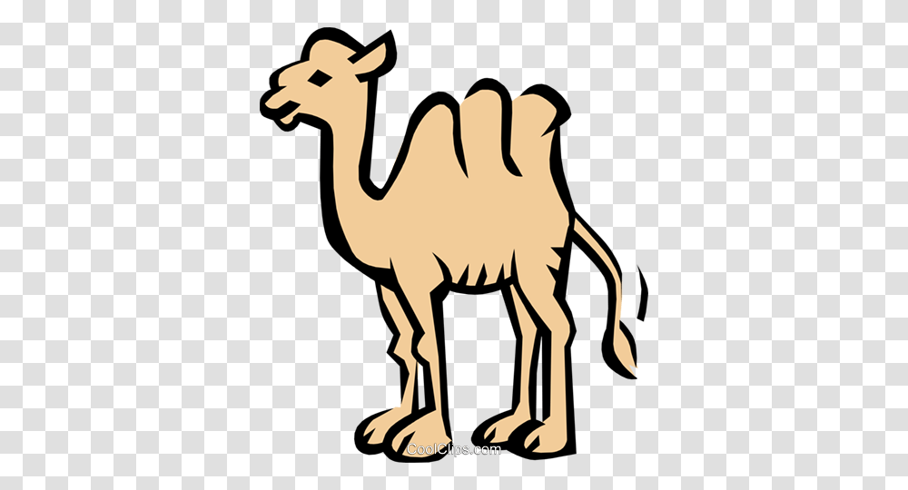Camel Royalty Free Vector Clip Art Illustration, Mammal, Animal Transparent Png