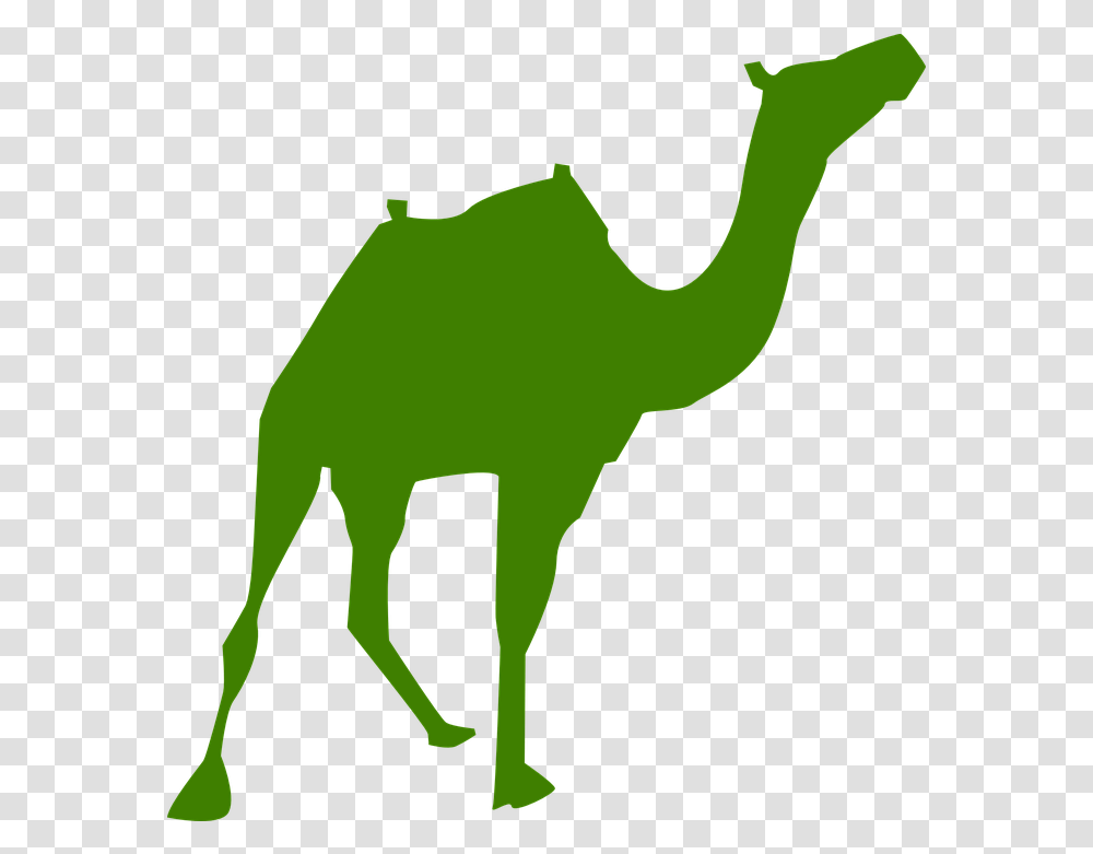 Camel Silhouette Arabia Pyramids Clipart Silhouette, Mammal, Animal Transparent Png