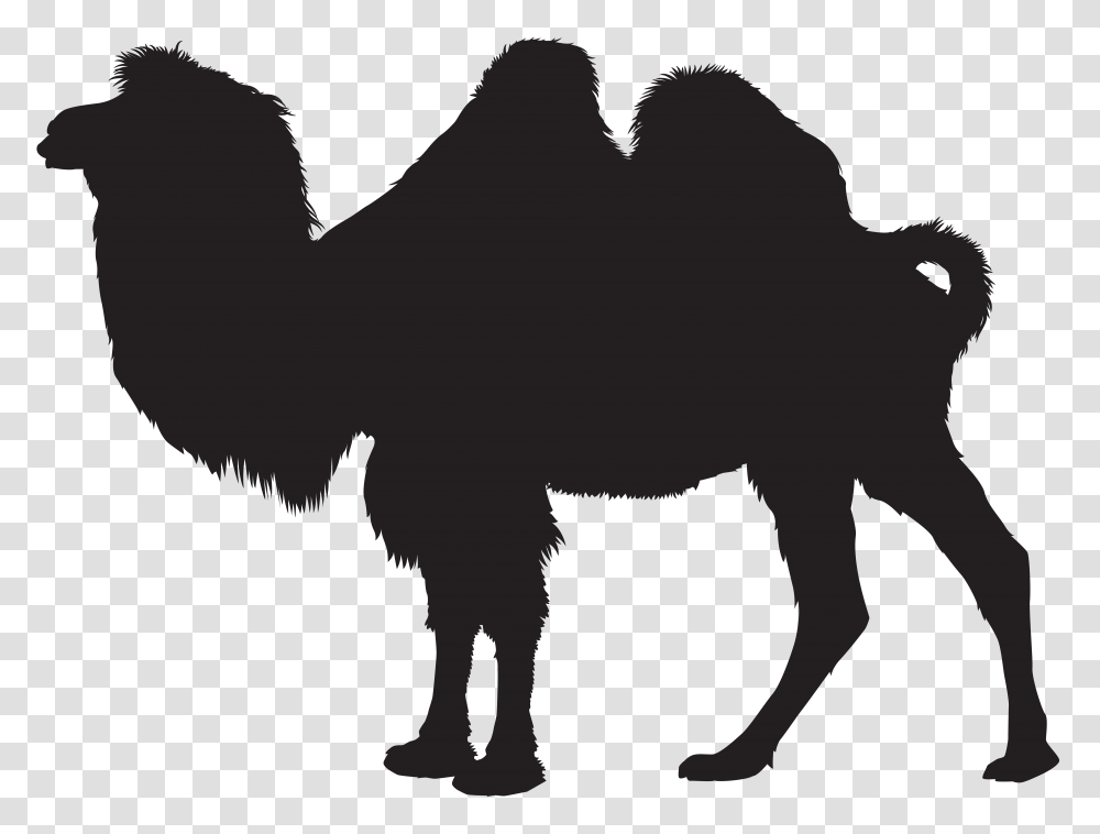 Camel Silhouette Clip Art, Texture, Gray Transparent Png