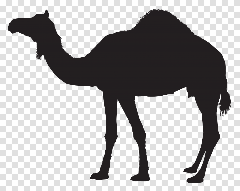 Camel Silhouette Clip, Logo, Cross Transparent Png