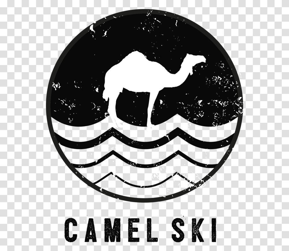 Camel Ski School Arabian Camel, Mammal, Animal Transparent Png