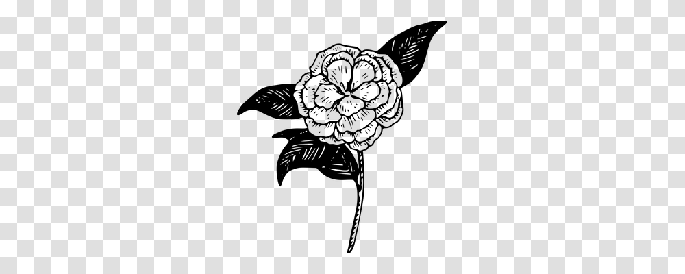 Camellia Nature, Gray, World Of Warcraft Transparent Png