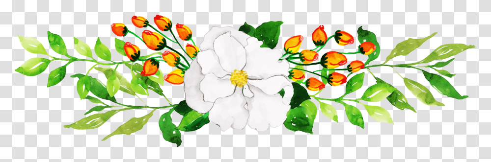 Camellia Sasanqua, Plant, Floral Design Transparent Png