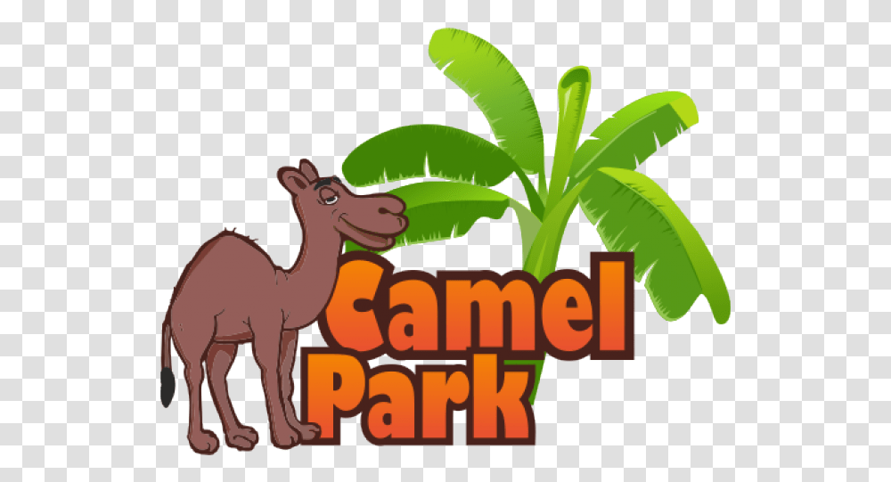 Camels Clipart Camel Ride Camel Park Tenerife Logo Camel Park Tenerife Logo, Plant, Vegetation, Tree, Animal Transparent Png