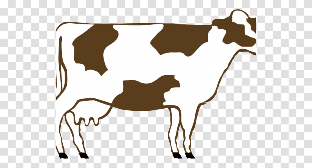 Camels Clipart, Cow, Cattle, Mammal, Animal Transparent Png