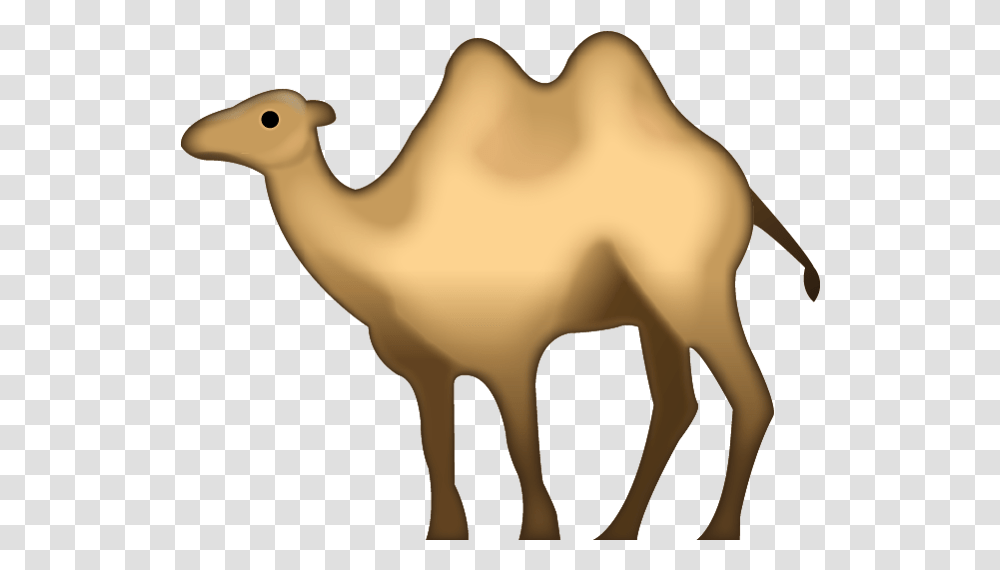 Camels Clipart File Camel Emoji, Mammal, Animal, Bird Transparent Png