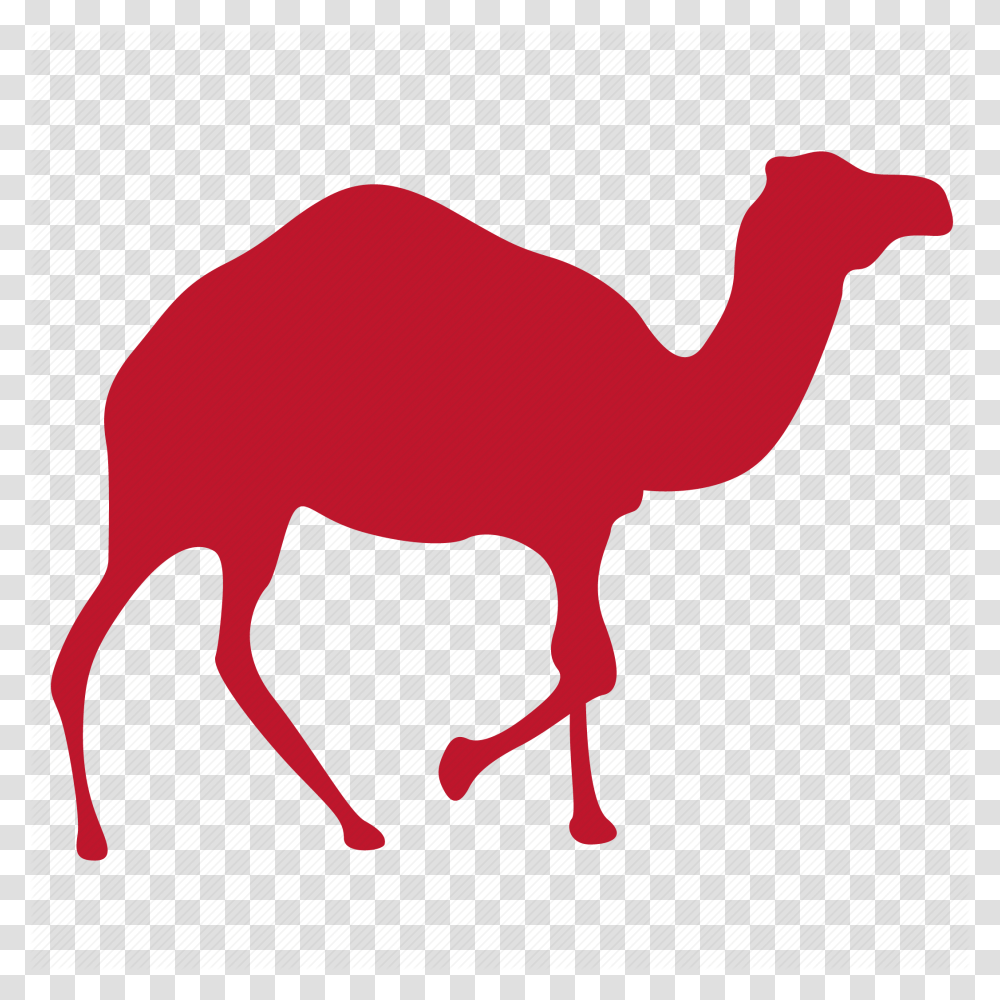 Camels Clipart Load Arabian Camel, Mammal, Animal, Horse Transparent Png