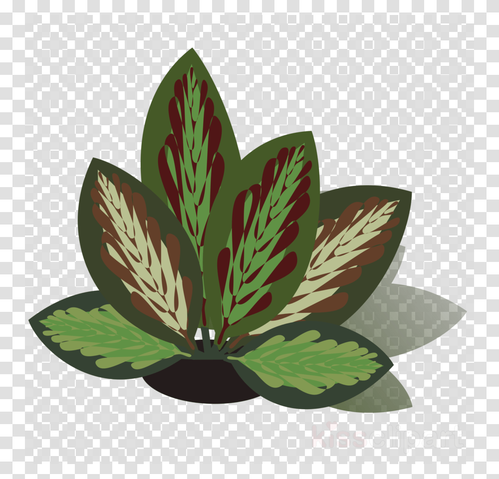 Camera No Background Hd, Leaf, Plant, Tablecloth, Pottery Transparent Png