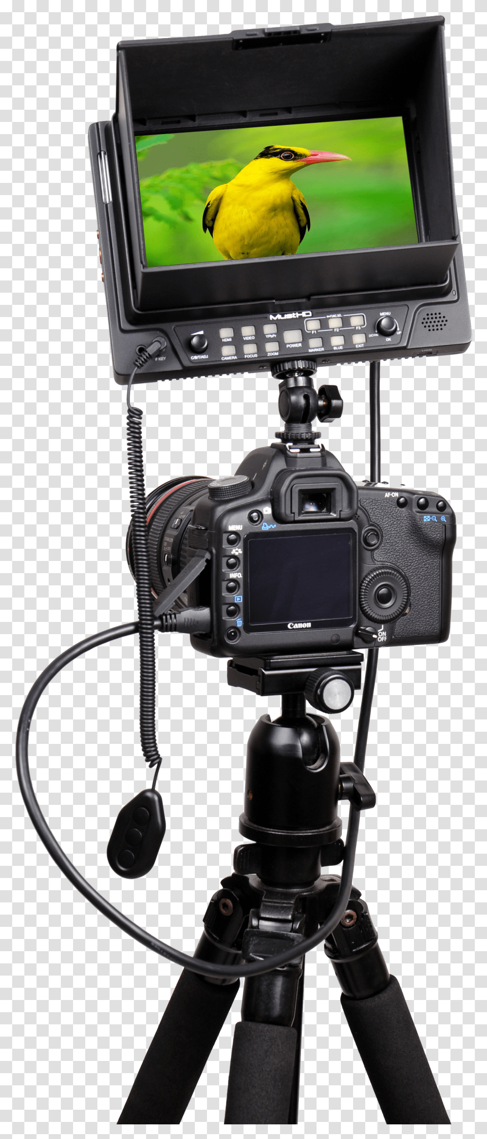 Camera On Tripod Transparent Png