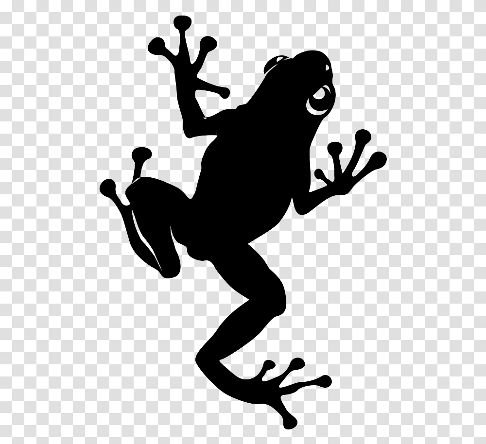 Camera Silhouette True Frog, Outdoors, Nature, Outer Space, Astronomy Transparent Png