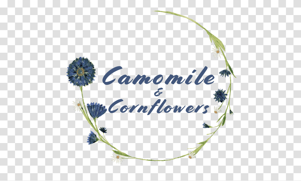 Camomile Amp Cornflowers Chrysanths, Plant, Blossom, Dandelion Transparent Png