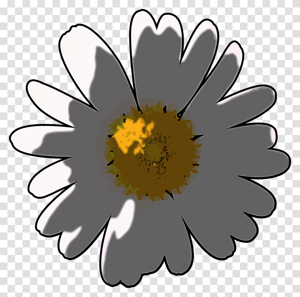 Camomile Flower Clipart, Plant, Blossom, Daisy, Daisies Transparent Png