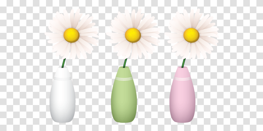 Camomile, Plant, Daisy, Flower, Anther Transparent Png