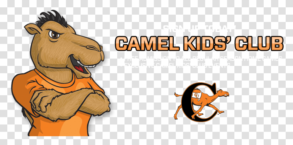 Campbell Fighting Camels And Lady Camels Download, Label, Person, Human Transparent Png