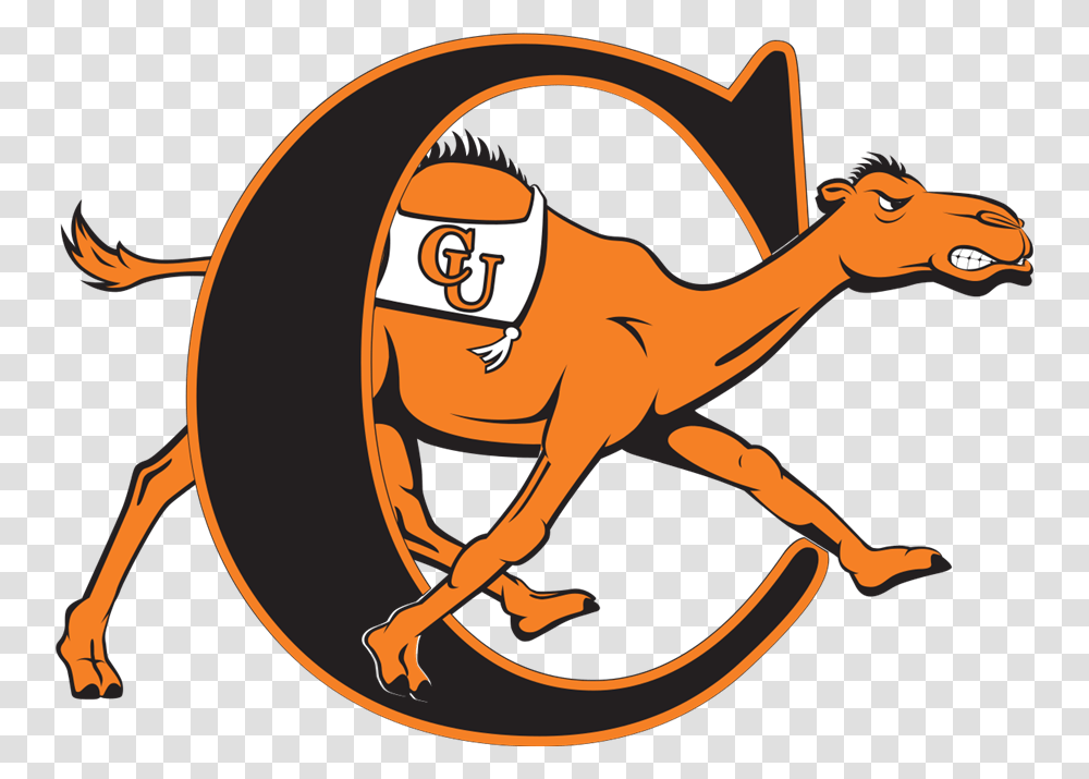 Campbell Fighting Camels, Animal, Reptile, Mammal, Gecko Transparent Png