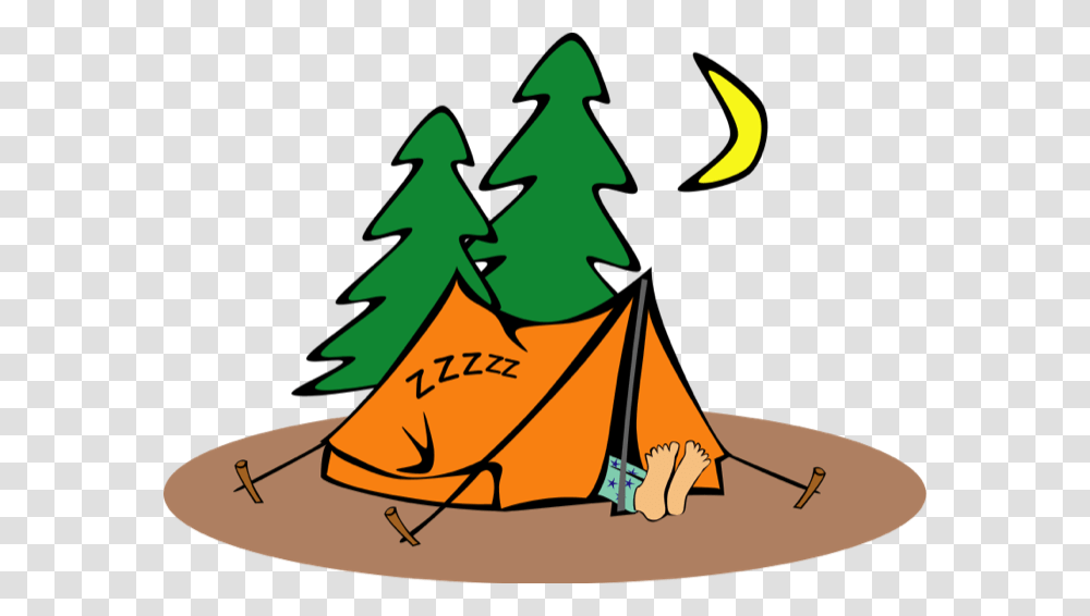 Camping Clipart, Plant, Tree, Christmas Tree Transparent Png
