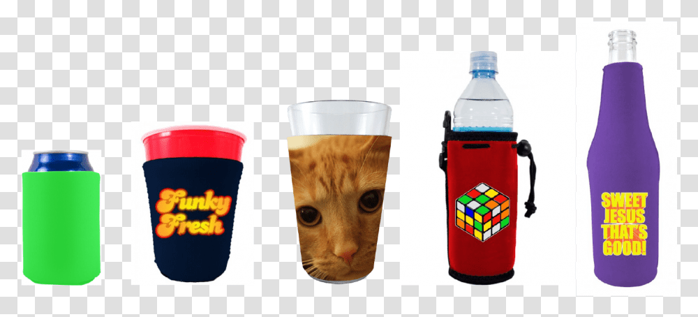 Can Coolies Or Even Pint Glass Solo Cup Or Water Asian, Cat, Pet, Mammal, Animal Transparent Png