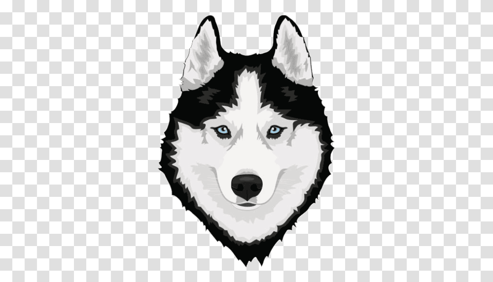 Can You Run With A Husky Training Gear Tips - Owner Merry Christmas Husky, Wolf, Mammal, Animal, Red Wolf Transparent Png