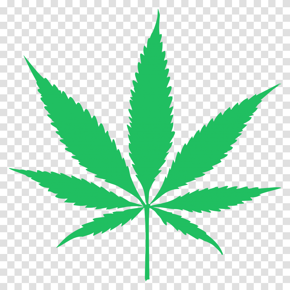Canabis Leaf Vector Background Cannabis Leaf, Plant, Hemp, Weed Transparent Png