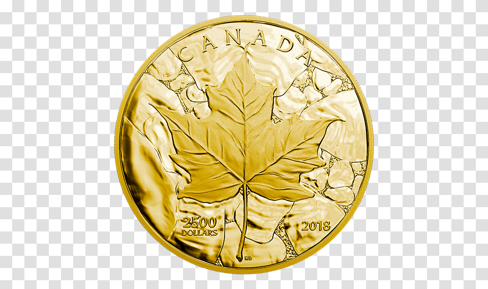 Canada 1kg Gold Coin, Leaf, Plant, Money, Helmet Transparent Png