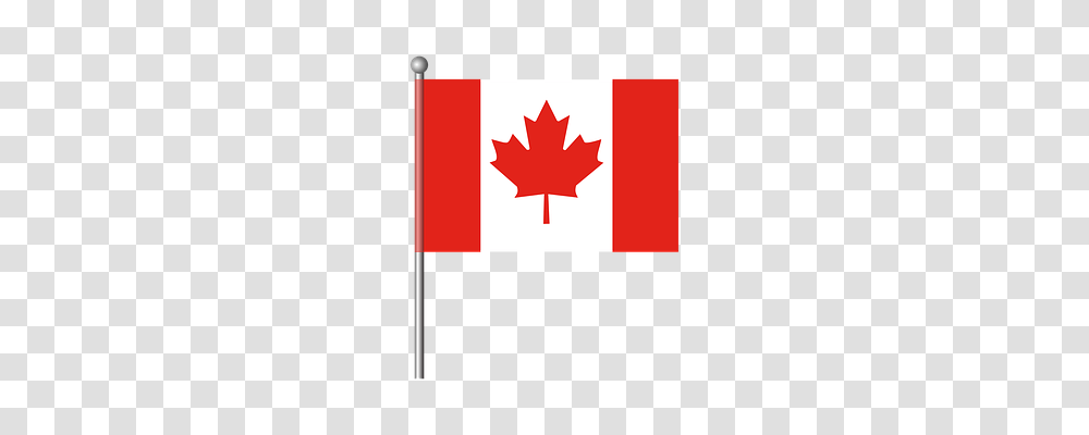 Canada Holiday, Leaf, Plant, First Aid Transparent Png
