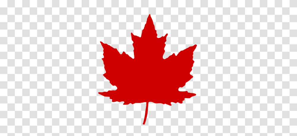 Canada Clipart Leaves, Leaf, Plant, Tree, Rose Transparent Png