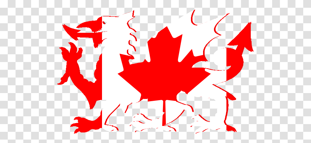 Canada Flag Clear Background, Leaf, Plant, Tree, Person Transparent Png