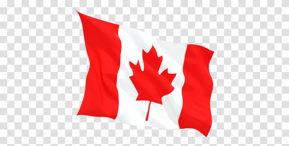 Canada Flag Clipart Offre D Emploi Au Canada, American Flag, Person, Human Transparent Png