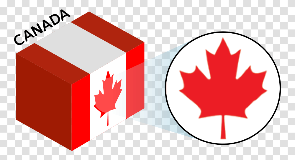 Canada Flag Colors And Symbol Canada Flag, Leaf, Plant, Tree, Maple Leaf Transparent Png