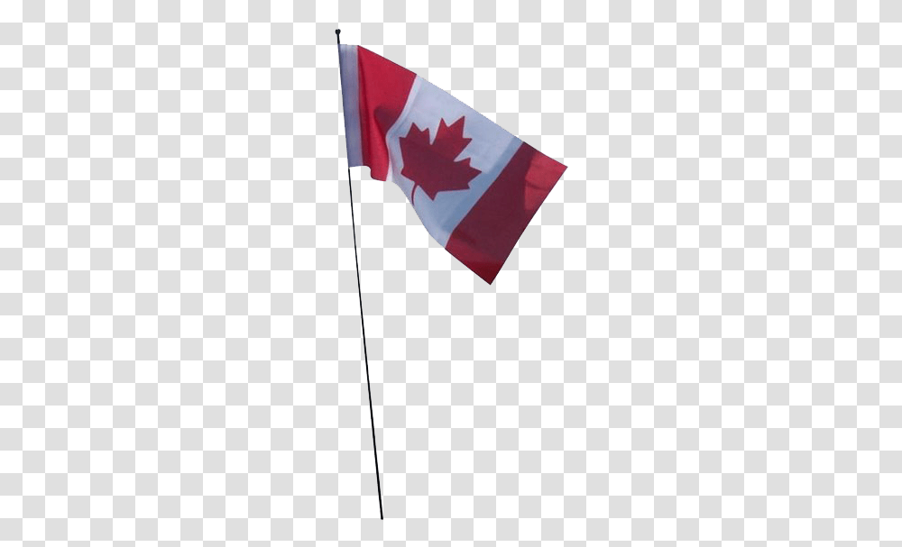 Canada Flag Free Background Canada Flag, Label, Outdoors Transparent Png