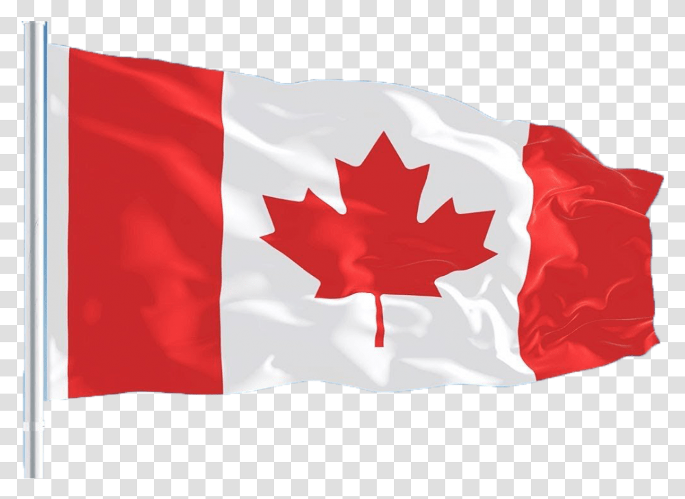 Canada Flag Free Images Canada Flag, Leaf, Plant, American Flag Transparent Png