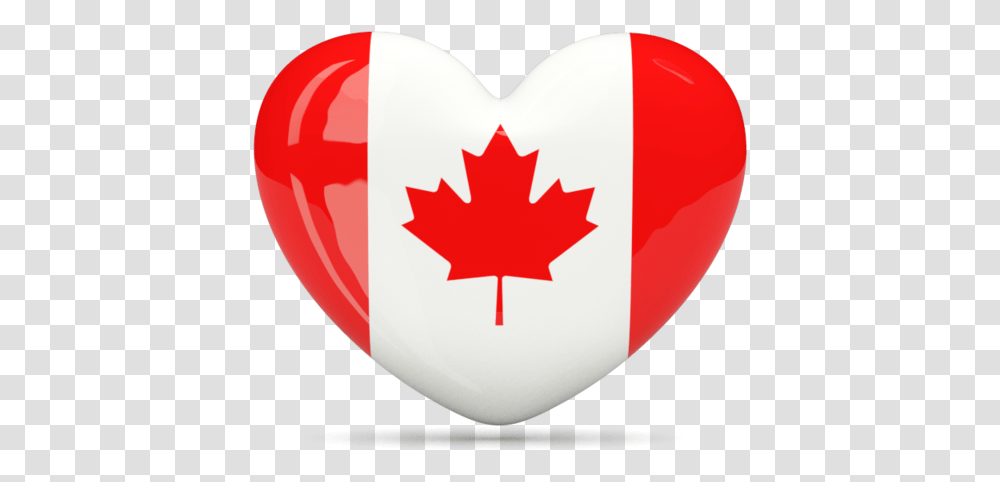Canada Flag Heart, Leaf, Plant, Tree, Maple Leaf Transparent Png
