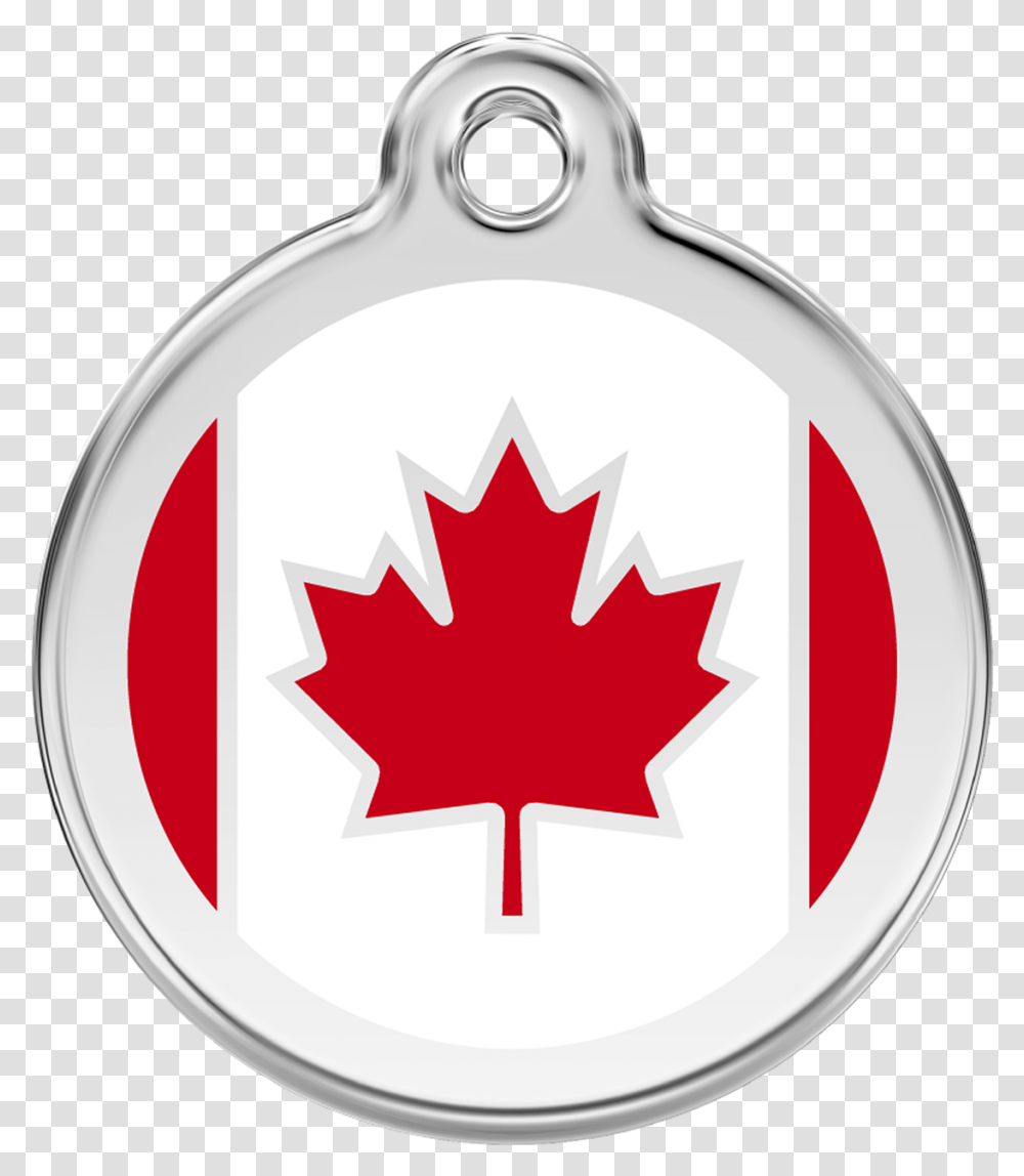 Canada Flag Icon Background, Leaf, Plant, Tree, First Aid Transparent Png