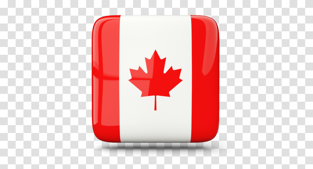 Canada Flag Icon Square, Leaf, Plant, First Aid, Tree Transparent Png