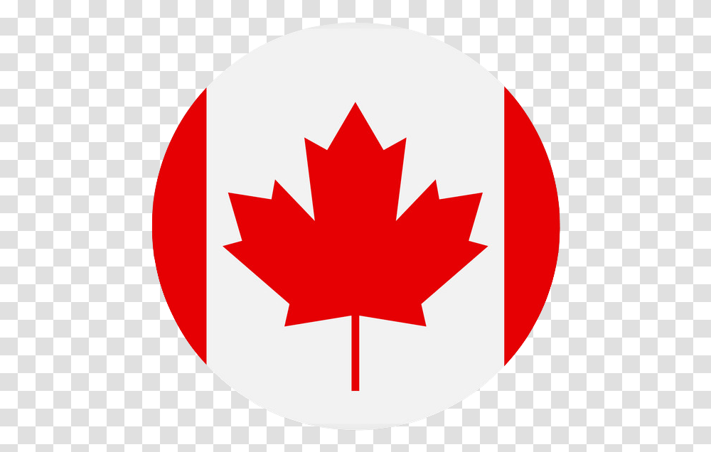 Canada Flag Square Icon, Leaf, Plant, First Aid, Tree Transparent Png