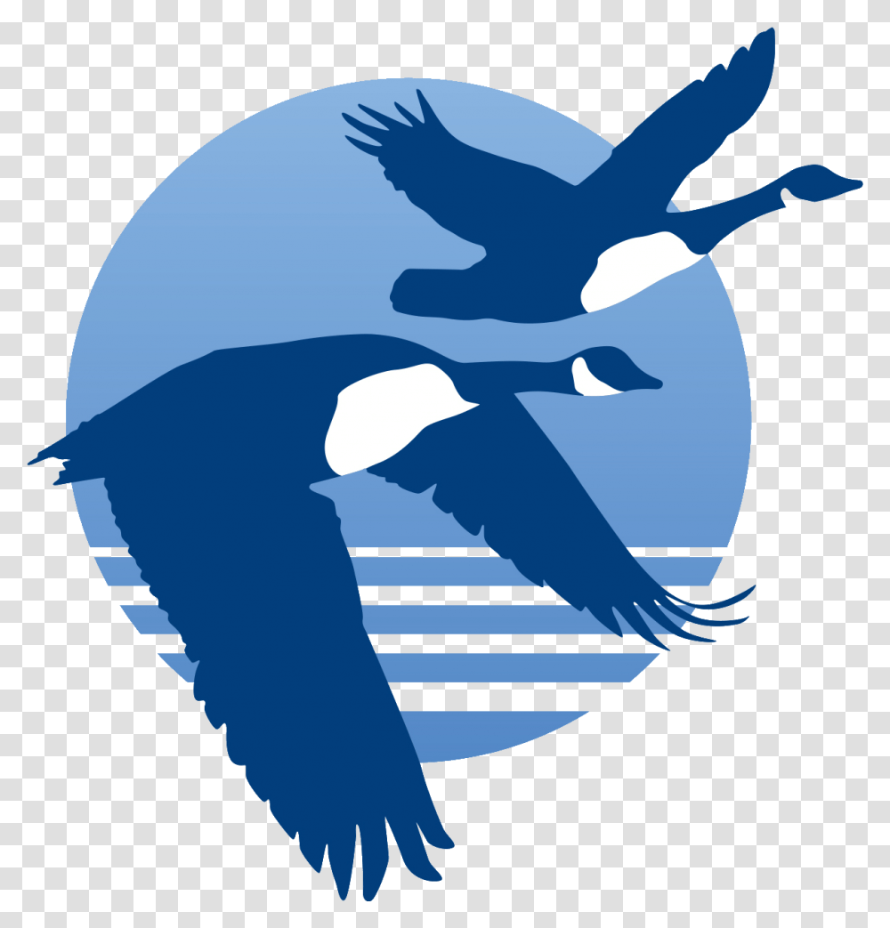 Canada Geese Logo Eagle, Sea Life, Animal, Mammal, Orca Transparent Png