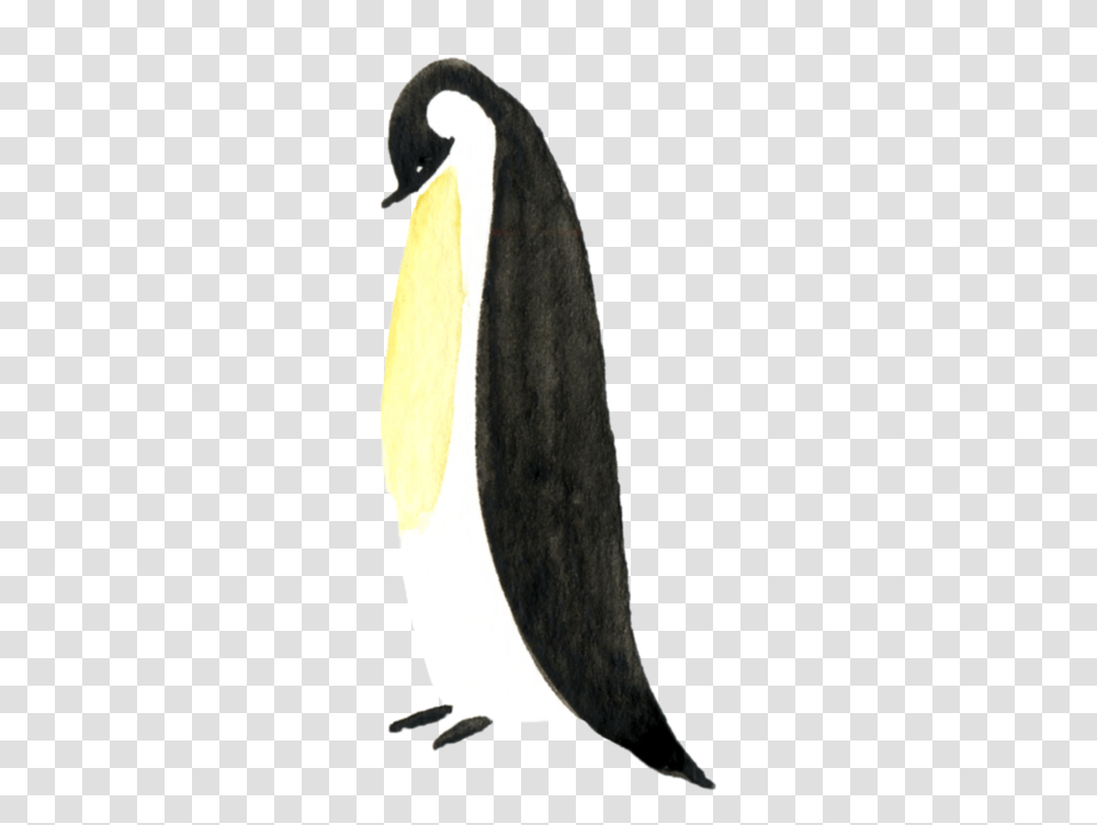 Canada Goose, Bird, Penguin, Pillow Transparent Png