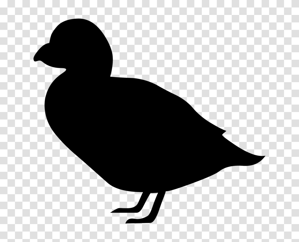 Canada Goose Duck Bird Silhouette, Gray, World Of Warcraft Transparent Png
