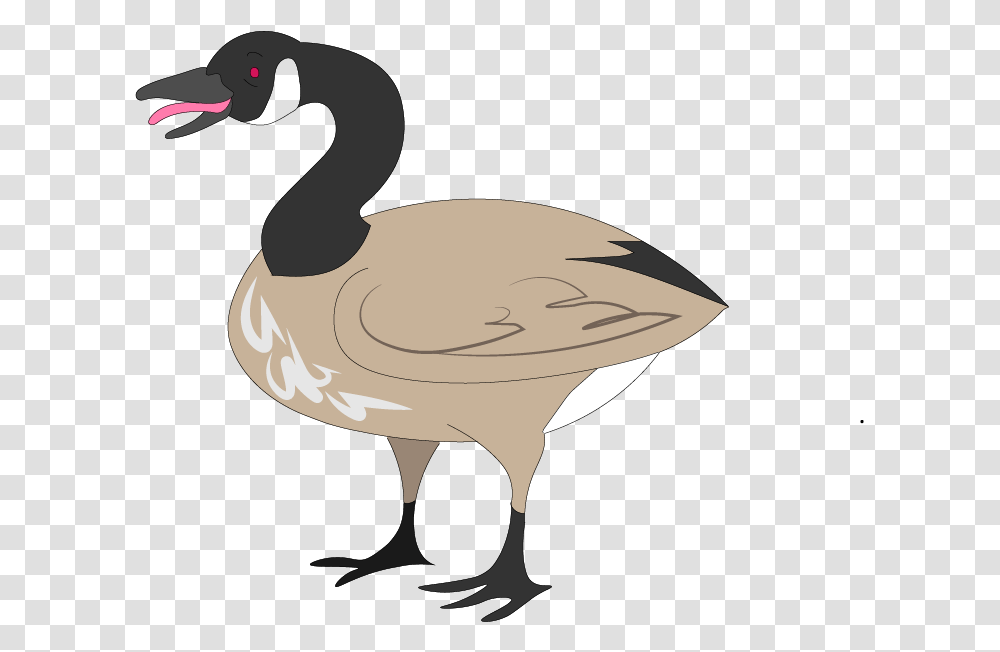 Canada Goose Illustrated For A North By Northwestern, Bird, Animal, Waterfowl Transparent Png