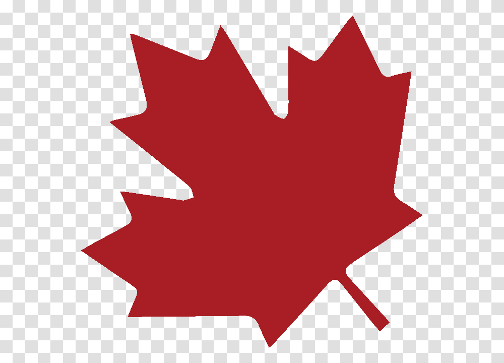 Canada Leaf Canada Flag, Plant, Tree, Maple Leaf Transparent Png