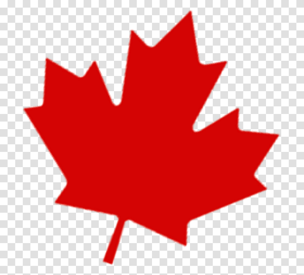 Canada Leaf Free, Plant, Tree, Maple Leaf Transparent Png