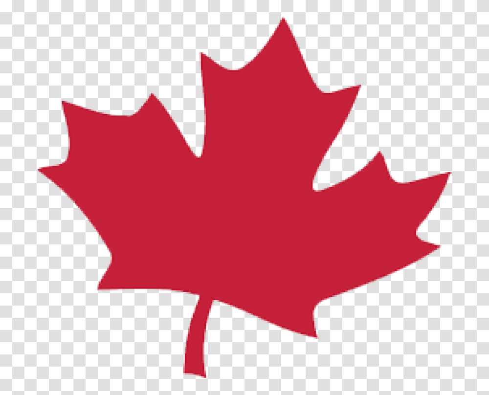 Canada Leaf, Plant, Maple Leaf, Tree Transparent Png