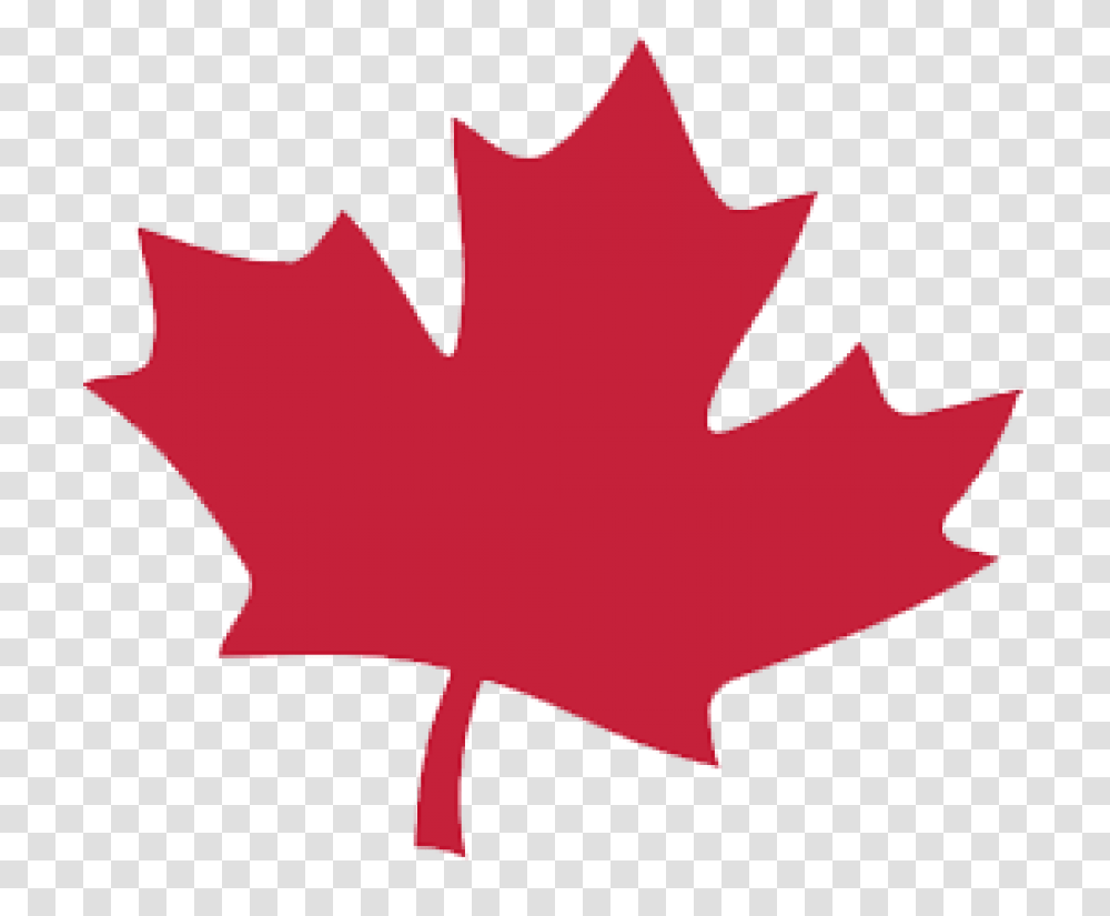 Canada Leaf, Plant, Tree, Maple Leaf Transparent Png