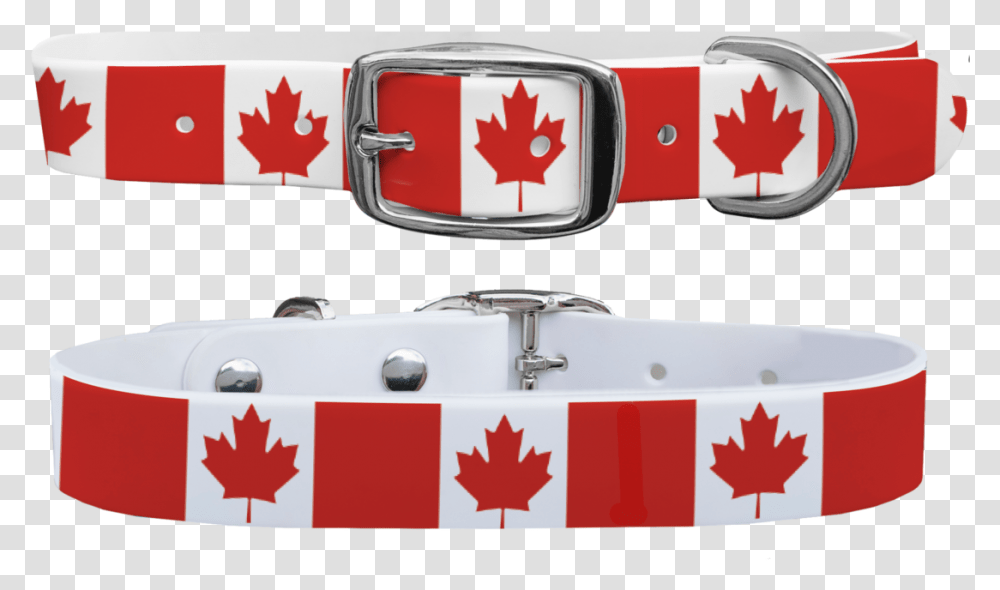 Canada Maple Leaf Dog Collar Belt, Plant, Buckle, First Aid, Glasses Transparent Png