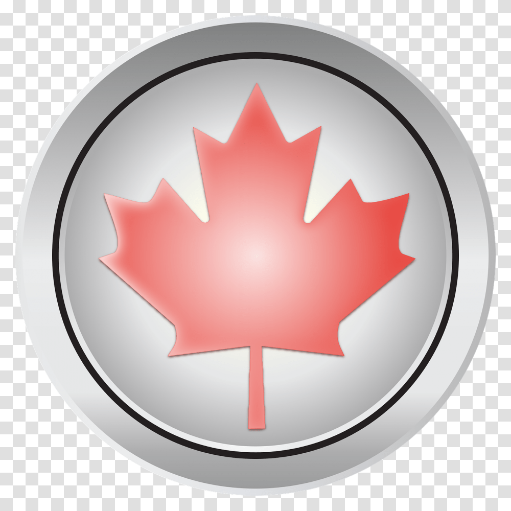 Canada Maple Leaf Images Happy Canada Day July, Plant, Tree, Snowman, Winter Transparent Png