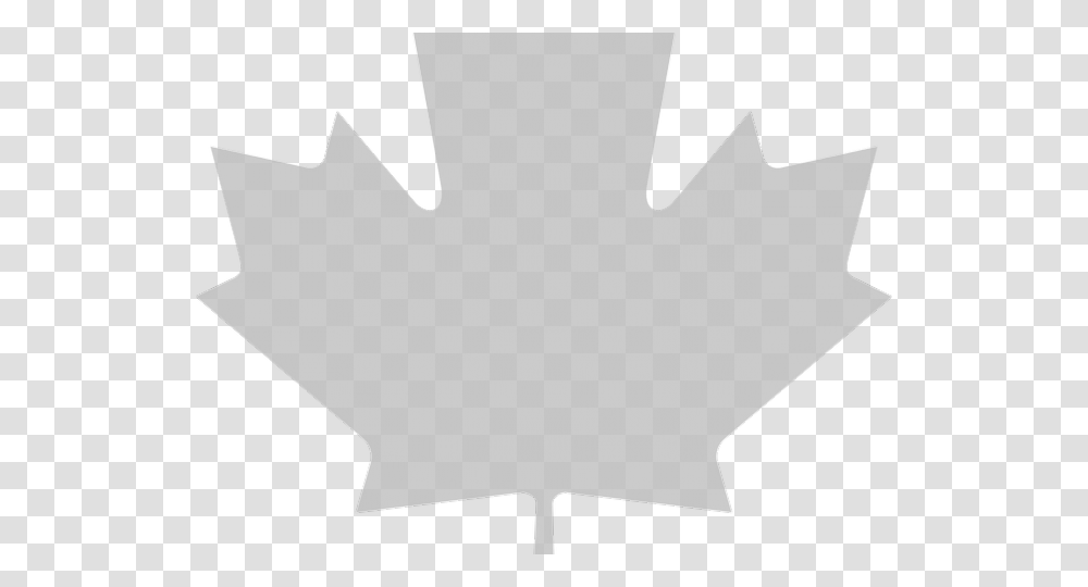 Canada Maple Leaf Images Happy Canada Day Memes, Plant, Face, Suit Transparent Png