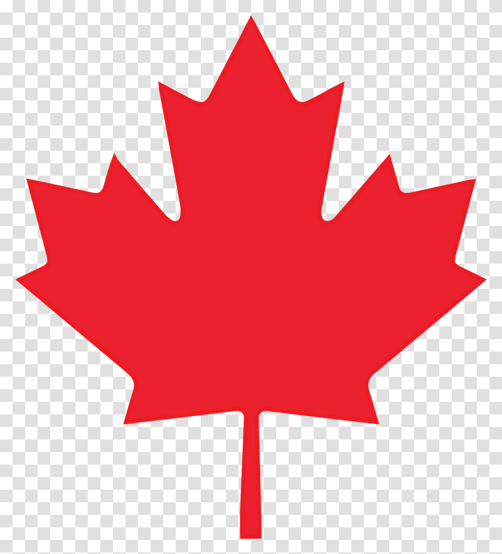 Canada Maple Leaf Svg, Plant, Tree Transparent Png