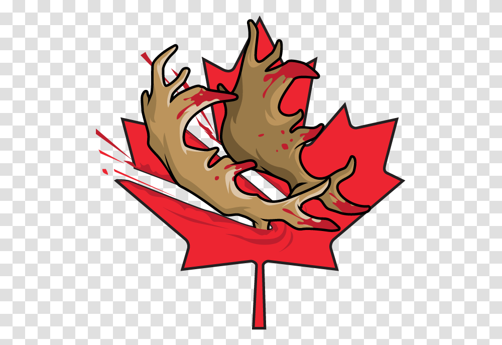 Canada Maple Leafs, Plant, Tree, Seed, Grain Transparent Png