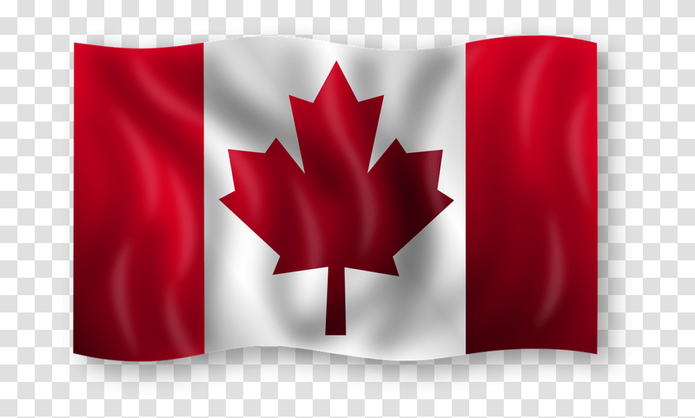 Canada Moving Canada Flags, Leaf, Plant, American Flag Transparent Png